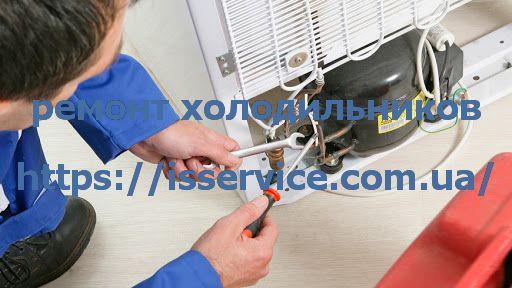 remont kholodilnikov electrolux